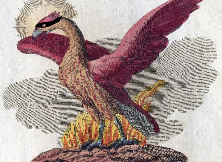 A depiction of a phoenix by Friedrich Justin Bertuch (1806), but this one is wearing a mask